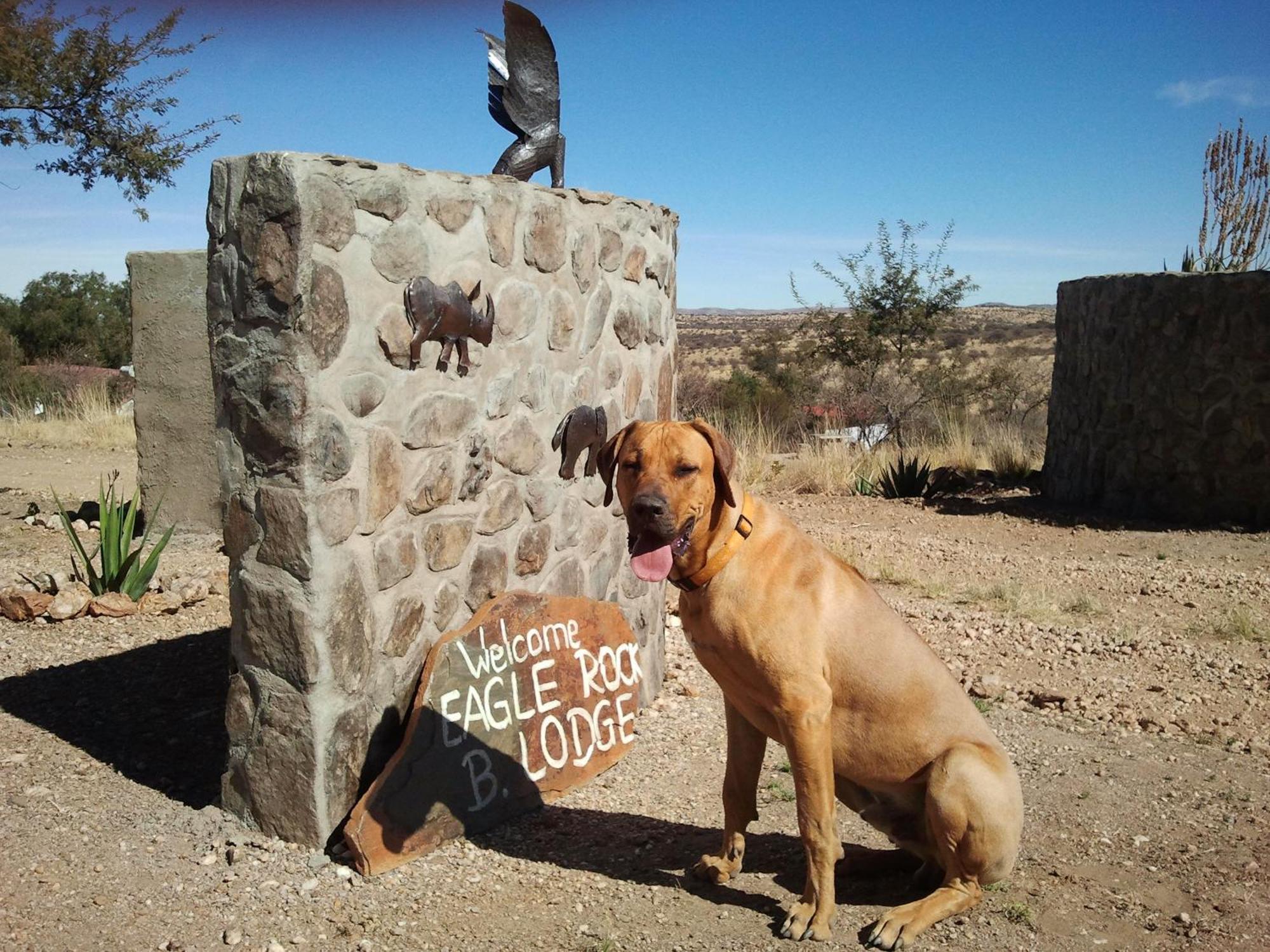 Halala Africa Lodge - Eagle Rock Lodge Malabar Екстер'єр фото