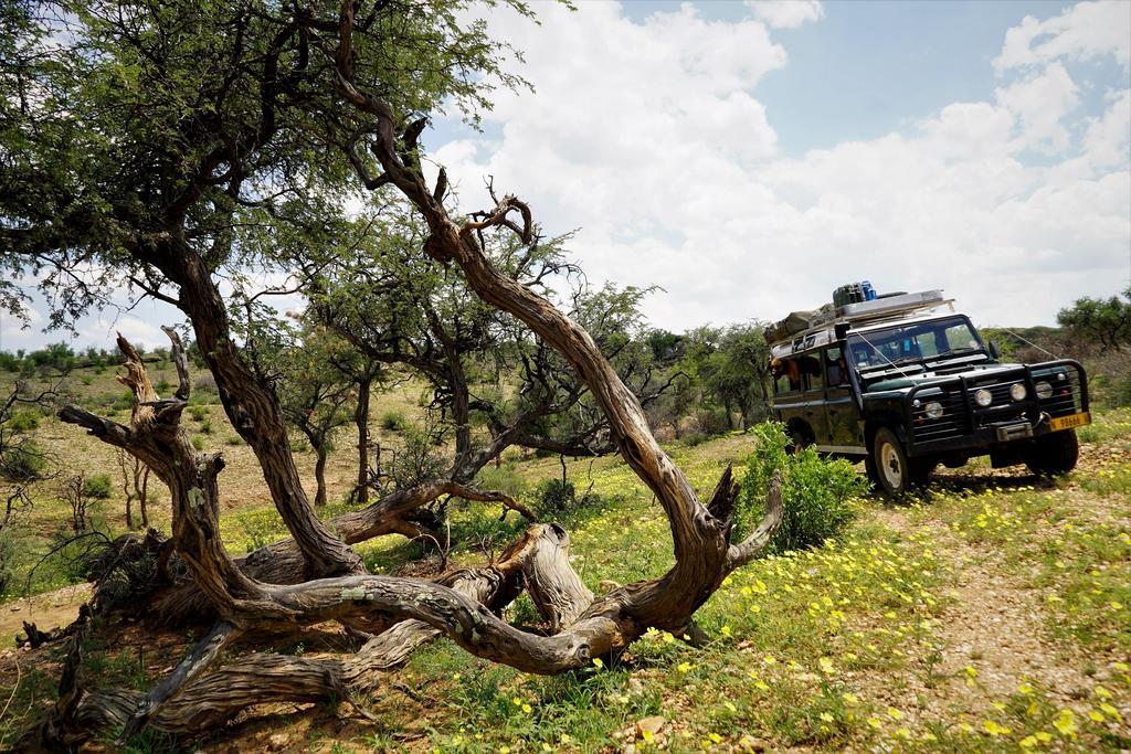 Halala Africa Lodge - Eagle Rock Lodge Malabar Екстер'єр фото