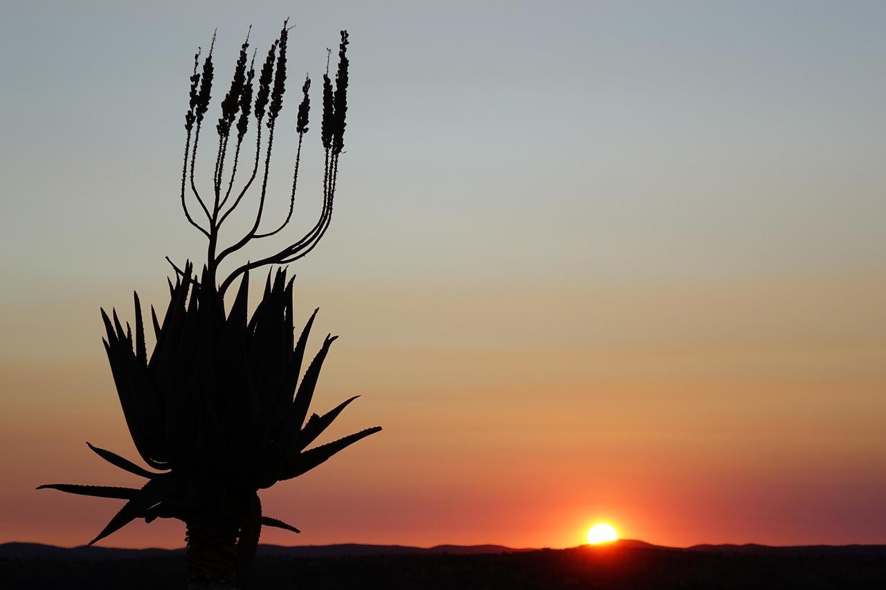 Halala Africa Lodge - Eagle Rock Lodge Malabar Екстер'єр фото